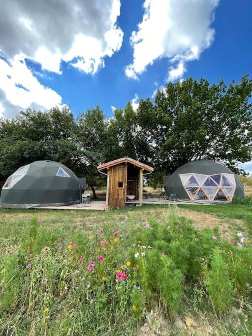 Dome Insolite Cedre Jacuzzi Et Petits Dejeuners Inclus Lagraulet-du-Gers Exterior foto