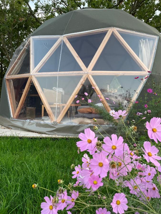 Dome Insolite Cedre Jacuzzi Et Petits Dejeuners Inclus Lagraulet-du-Gers Exterior foto